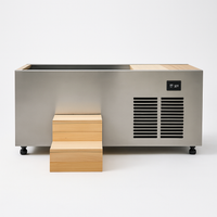 Cold Plunge Tub Designed for Daily Recovery, 316L Stainless Steel Basin, Integrated Chiller, Cedar Steps